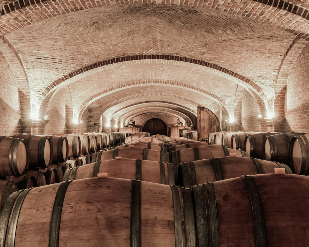 San Martino in Salento: vino novello e tradizioni autentiche